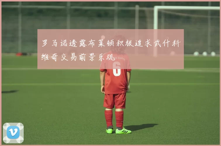 罗马诺透露布莱顿积极追求武什科维奇交易前景乐观